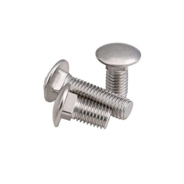 Carriage Bolts (DIN 603) – Stainless Steel (304)