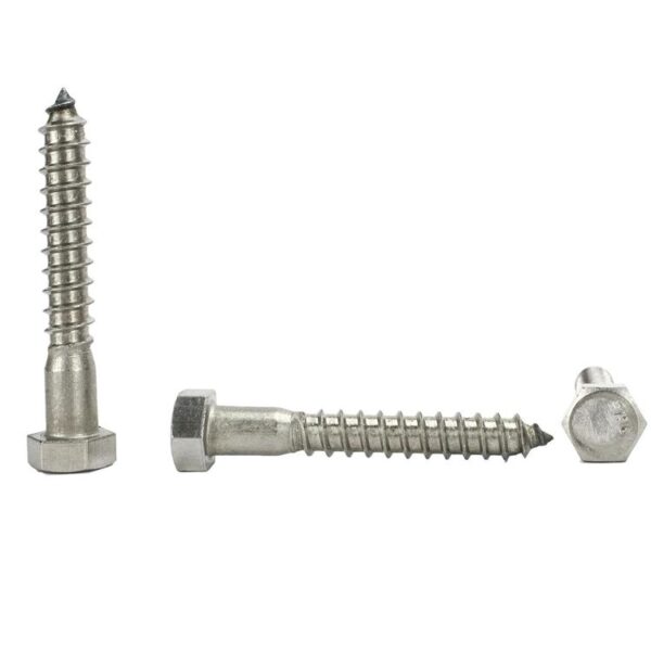 Hex Lag Bolt | Stainless Steel