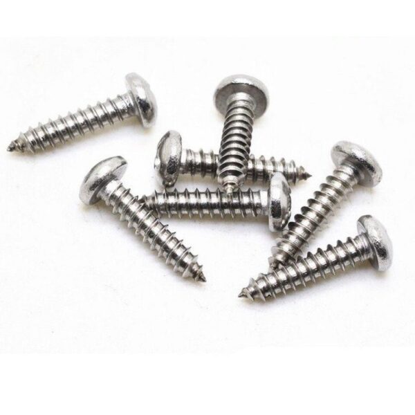 Self Tapping Screw PH S.S